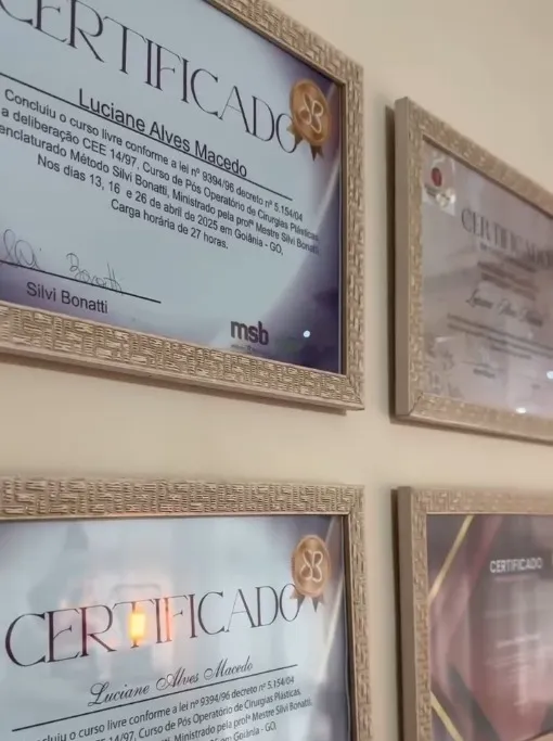 Certificados profissionais do StudioDlu